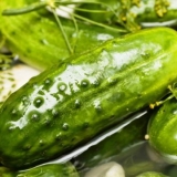 Slabo slani krastavci: recept za kuvanje u hladnoj vodi